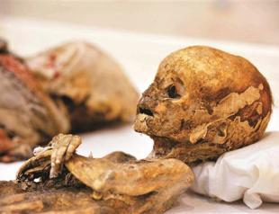 Cat, children mummies draw interest to museum