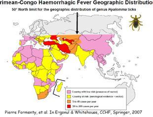 Economics of Crimean-Congo Fever