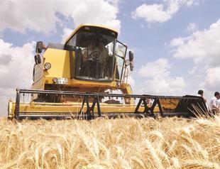 Turkish government unveils high grain price