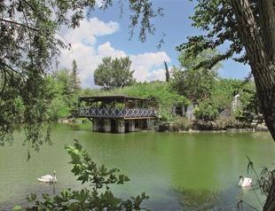 Springtime on an organic farm in Aegean region