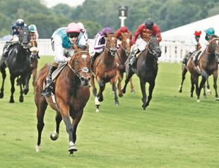 Frankel makes it 11 out of 11 at Ascot