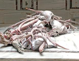 The wound reveals life in De Bruyckere’s solo show