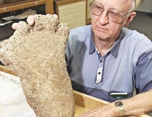 Yeti’s hair samples looked for a study