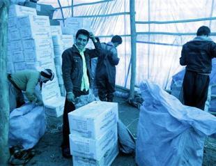 Iran to execute two for alcohol: reports