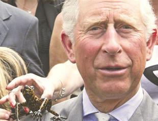 Frog named after Prince of Wales