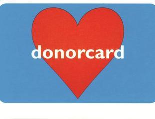 Salt Beyoğlu hosts exhibition on artist certificates