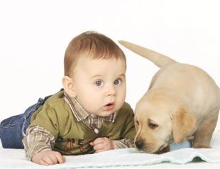 Babies in dog-owning families may be healthier