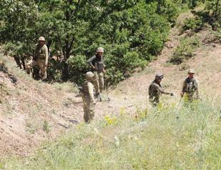 PKK members killed as clashes continue in eastern Turkey