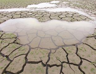 US encounters worst drought in 25 years