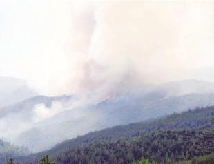 Syrian fire in risk of spreading to Turkey