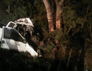 At least 11 killed in Texas road accident: report
