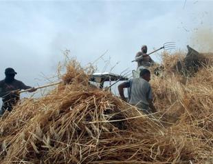 Israel sought $1 billion IMF loan for Palestinians