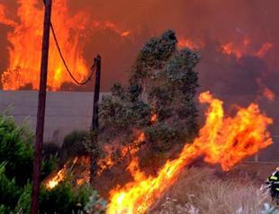 Wildfire rages near Athens, threatens homes