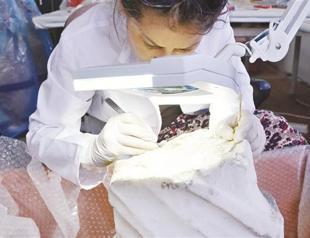 Bodrum Museum foster artifacts at laboratories