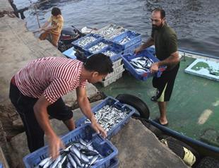 Palestinian economy not ready for statehood: World Bank