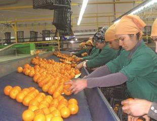 Draft eases leasing workers under flexible conditions