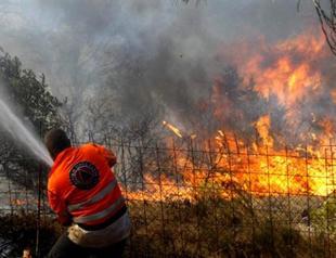 Six injured in blaze raging in southern Greece