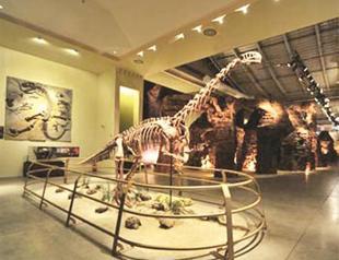 Jurassic Land open during Ramadan