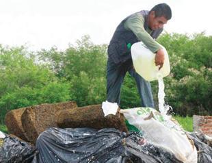 Mexicans find drugs in graves