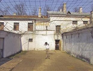 Salt’s summer program presents different genre