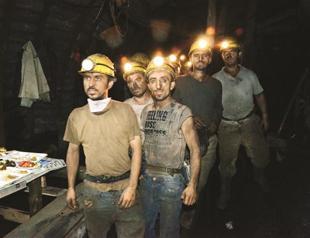 Ore search increasing