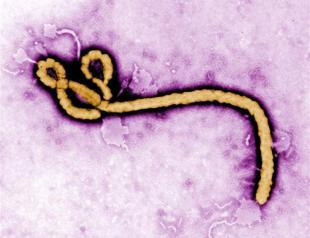 Uganda warns on contact as deadly Ebola reported in capital