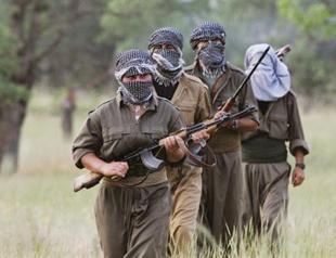 Booming PKK abductions aim at showing off