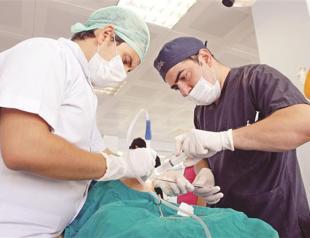 Free medical zones to hire, treat foreigners