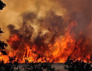 Forest fire rages close to French surfers paradise