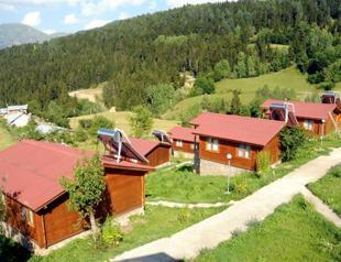 Bear entering tourist area causes panic in Turkey