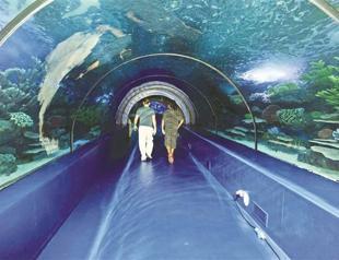 Sail the seven seas at Antalya Aquarium