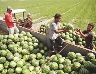 Joblessness rate drops to record lowest point