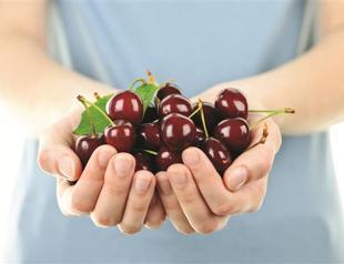 Food companies quit bid for GM products