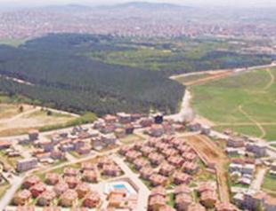 Sales of deforested land fail to impress