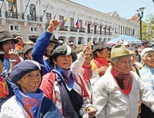 Rush for Assange will be ‘suicide’