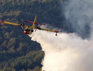 Forest fire burns through southern province