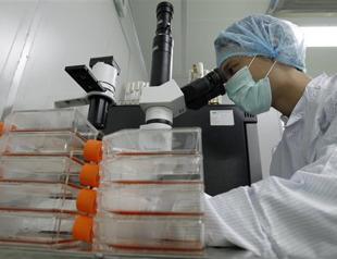 Brazil claims successful test of parasite vaccine