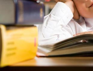 Turkey the birthplace of Hindi, English: study