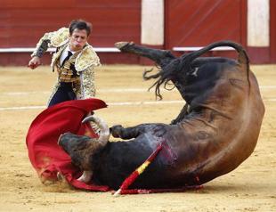 Activists fume as bullfighting returns to Spanish public TV