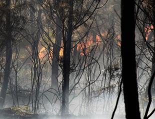 French police quiz boy as massive forest fire blazes