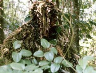 Man killed while trying to create Bigfoot sighting