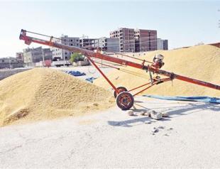 Large grain center to revive southeast town