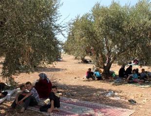 Thousands of refugees stranded on Turkish border