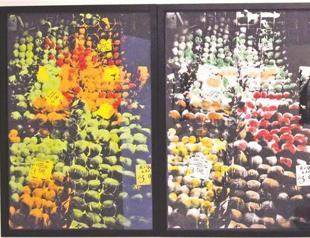 Contemporary Turkish art goes to Seoul