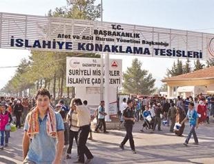 Syrian refugees end up on fields as seasonal workers