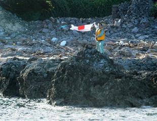 Japan to buy islands disputed with China: reports