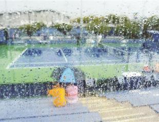 Azarenka, Ferrer advance at rain hit US Open