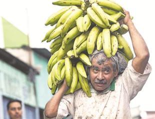 Fruit giant Dole settles 38 pesticide complaints