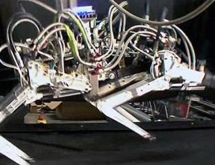 Cheetah robot faster than fastest human