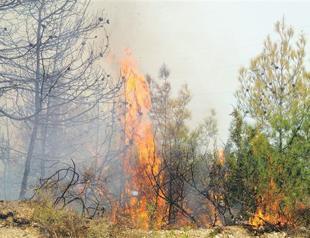 Hatay governor hints at arson claims in fire